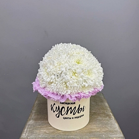 Готовая композиция  №979