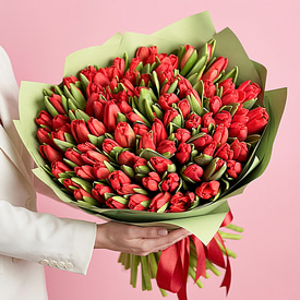 101 красный тюльпан 101 красный тюльпан