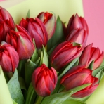 Букет "15 красных тюльпанов"