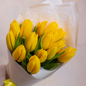 15 желтых тюльпанов 15 желтых тюльпанов