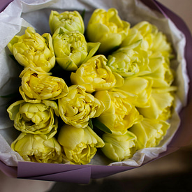 19 желтых пионовидных тюльпанов 19 желтых пионовидных тюльпанов