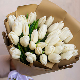 25 белых тюльпанов