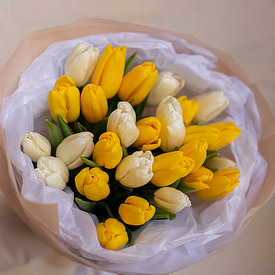 27 бело-желтых тюльпанов 27 бело-желтых тюльпанов