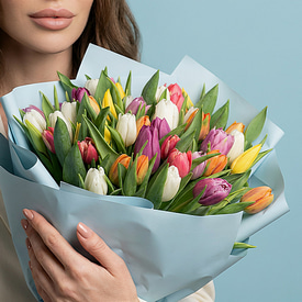 51 тюльпан микс