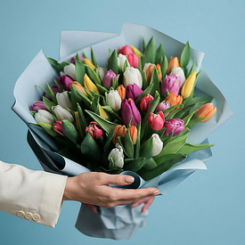 51 тюльпан микс