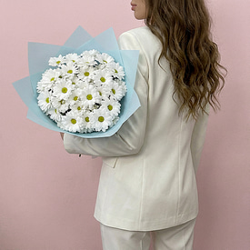 7 белых хризантем