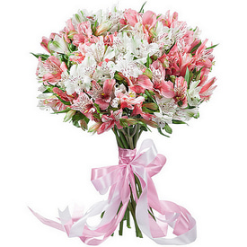 Альстромерия (штучно)