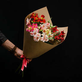 Альстромерия