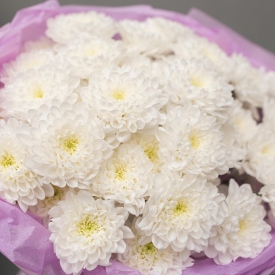 Алтайский рассвет