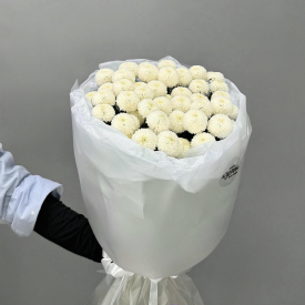 Белый мишка