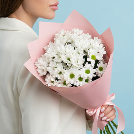 Классик Стандарт