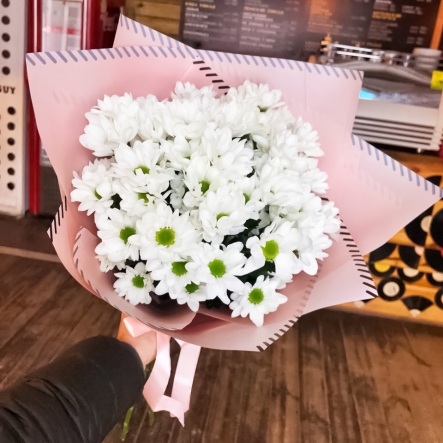 Классик Стандарт