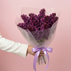 Букет "Dark Lilac"