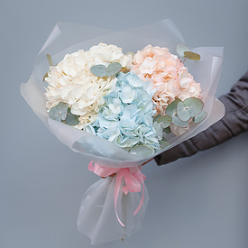 3 пудровых гортензии