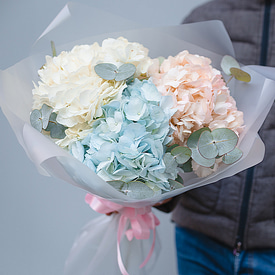 3 пудровых гортензии