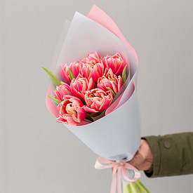 Тюльпаны Коламбус 9