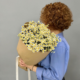 Комплимент №28