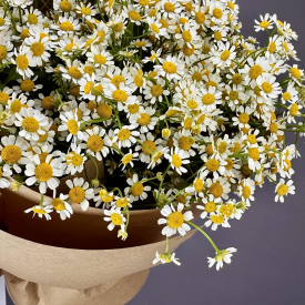 Комплимент №28