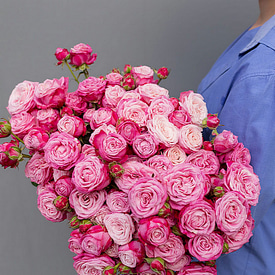 Роза Леди Бомбастик (штучно)