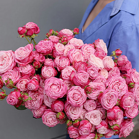 Роза Леди Бомбастик (штучно)