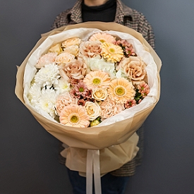 Лёгкий абрикос Лёгкий абрикос