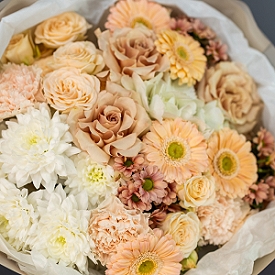 Лёгкий абрикос Лёгкий абрикос