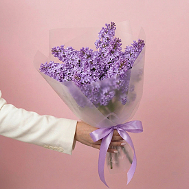 Light Lilac