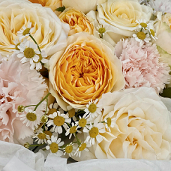 Лимонный пай