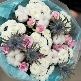 Недотрога Недотрога