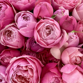 Поздний вечер