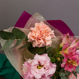 Расцвет красоты