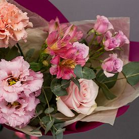 Расцвет красоты