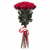 Роза метровая 100см (штучно)