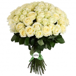 Розы 60см белые (штучно) Розы 60см белые (штучно)