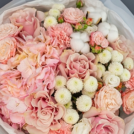 Румянец Румянец