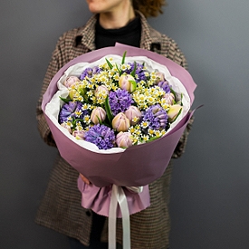 Сан-Ремо Сан-Ремо