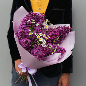 Сиреневый рай