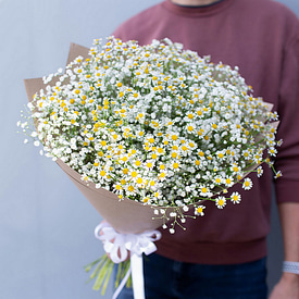 Снежная буря