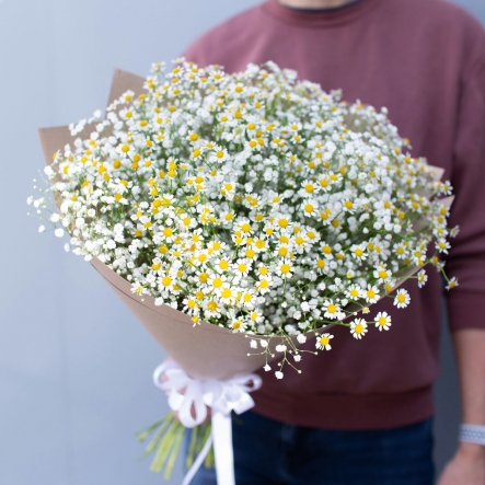 Снежная буря