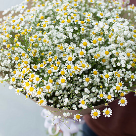 Снежная буря