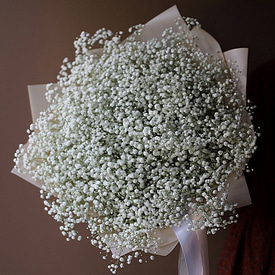 Снежное облако