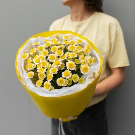 Солнечный лучик