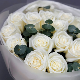 Светлый аист