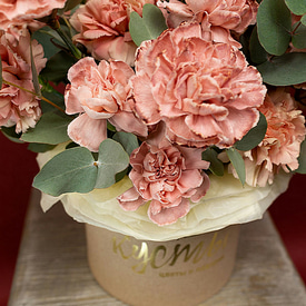 Коралловый риф