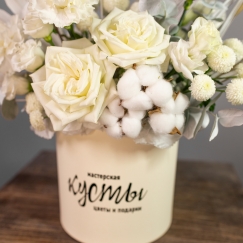 Стрела Амура Стрела Амура