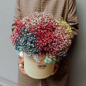 Яркое Облако