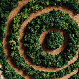 Картина из мха "Вселенная"