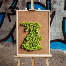 Картина из мха "Зая"