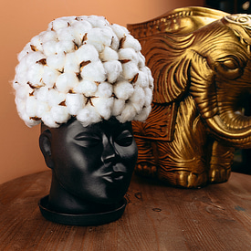 Композиция "Царица Африки"