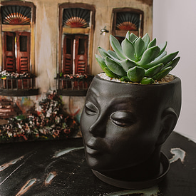 Кашпо "Черная Леди"